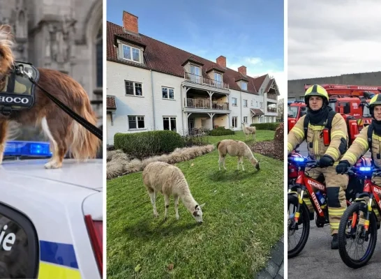 Aprilvissen 2026