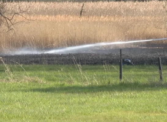 eerste natuurbrand van het seizoen in Berlaar