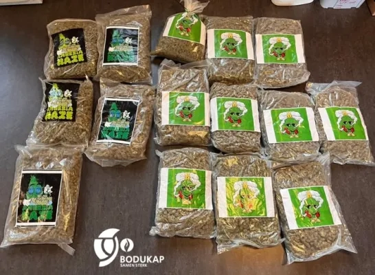 Drugsvangst Bonheiden