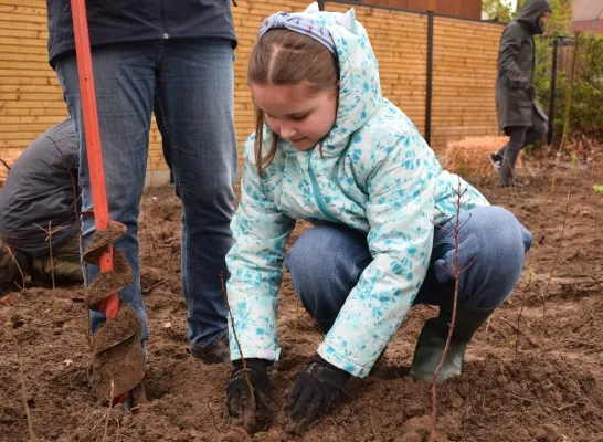 schoolbos basisschool De Esdoorn Mechelen