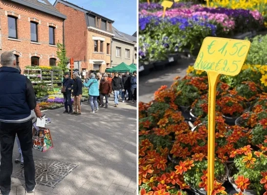 Plantenbeurs Liezele 2026