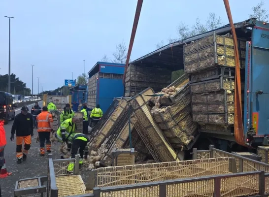 Vrachtwagen met kippen gekanteld op E313 Grobbendonk