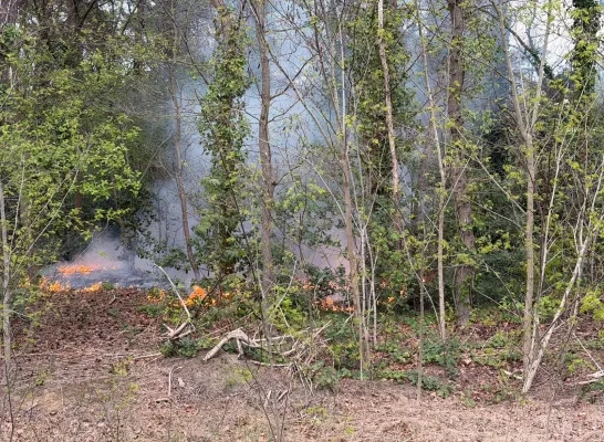 Brandje in een bos aan Steert in Dessel