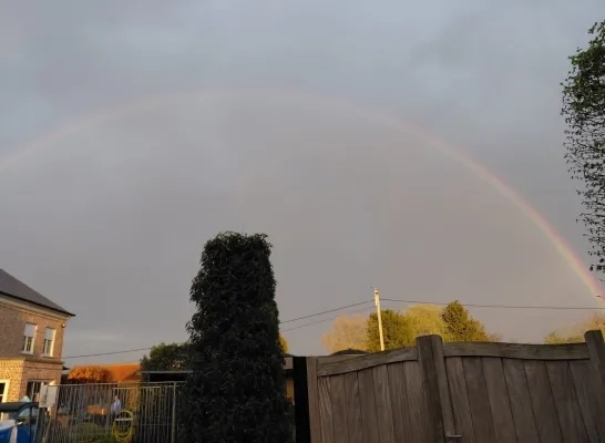 Regenboog in Schriek