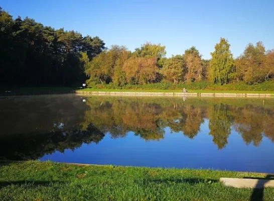 't gewad visvijver meerhout.jpg 't gewad visvijver meerhout