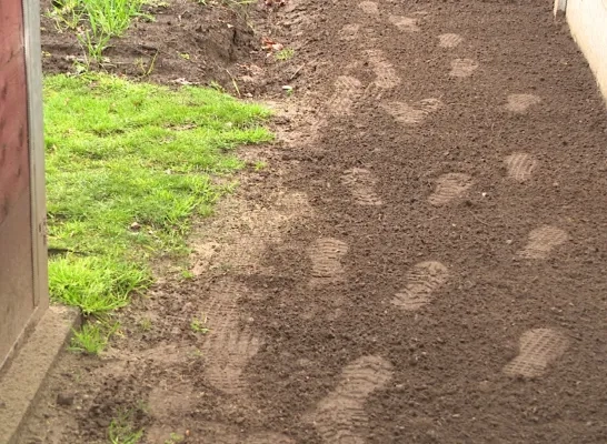inbraak voetstappen alg.jpg inbraak voetstappen alg