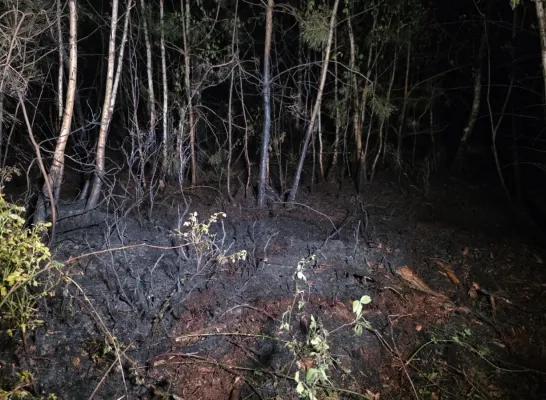 Natuurbrand in Herselt