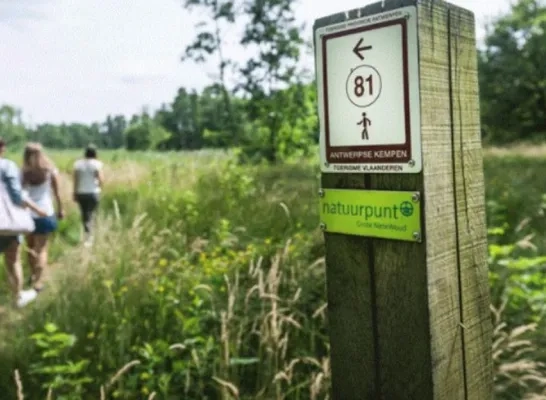wandelknooppunten kempen.jpg wandelen kempen
