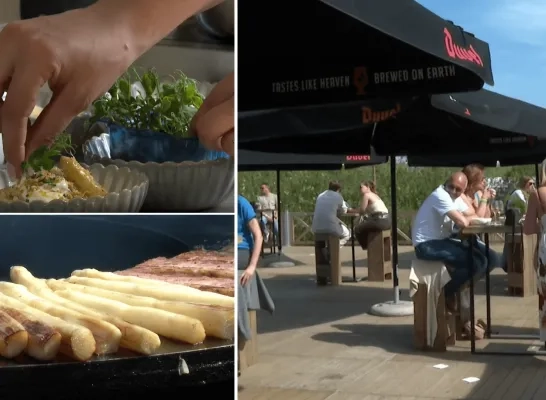 Aspergefestival in Puurs-Sint-Amands