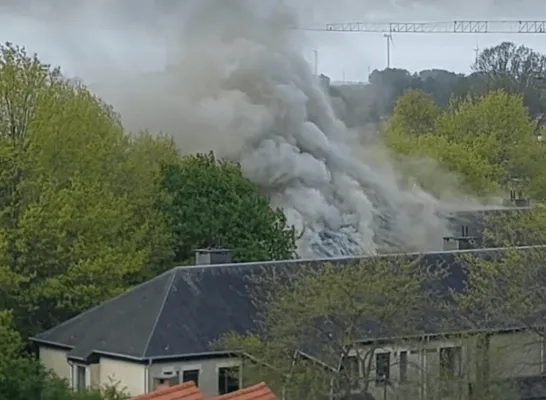 brand geel