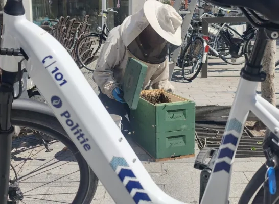 bijen imker Vijfhoek politie Rivierenland