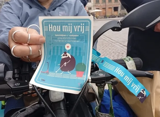 belijning slechtzienden Lier 