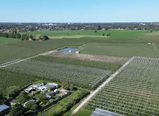 Boomgaard Appelen Roes Oud-Turnhout