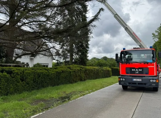 blikseminslag Beerzel