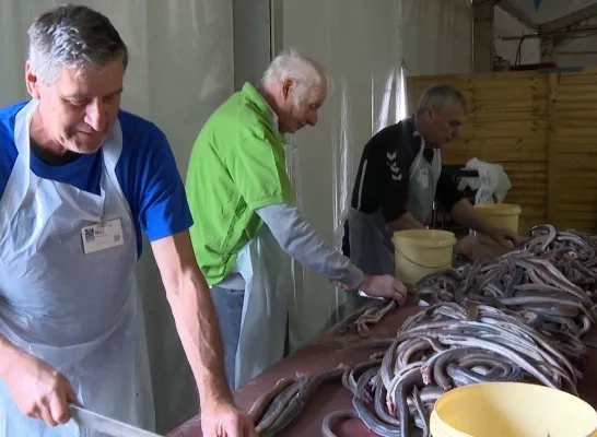 Palingfestival Mariekerke