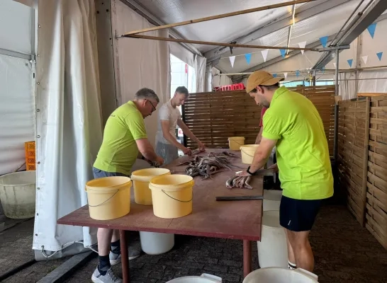 Palingfestival Mariekerke Bornem