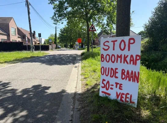 bomenkap Oude Baan Bonheiden