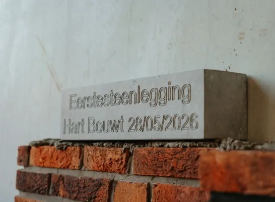 Symbolische steen AZ Mol