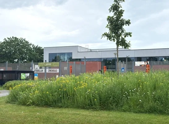 openlucht zwembad zwemmen Geel
