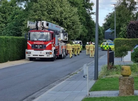 Geseinde man uit flat gehaald in Bornem