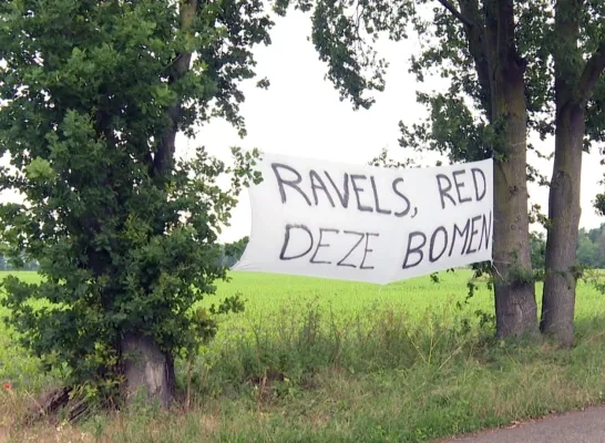 ravels bomen