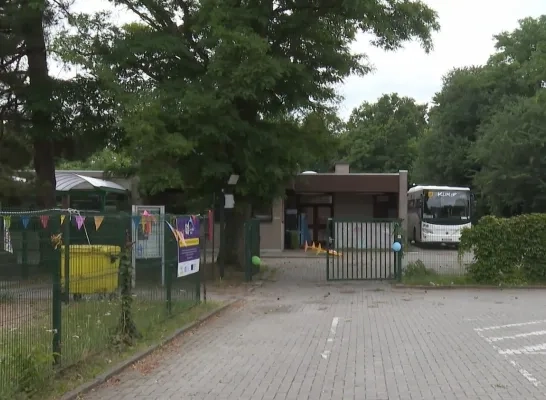 Klimop in Bonheiden
