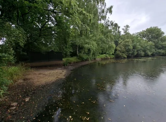Waterpeil vijvers De Netevijvers erg laag