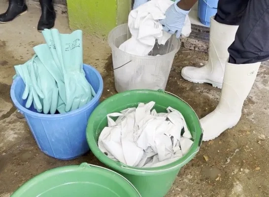 Ebola Congo Artsen zonder Grenzen