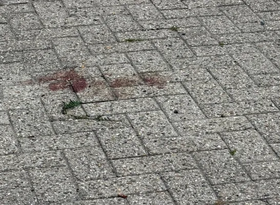 Vrouw wordt neergestoken op oprit