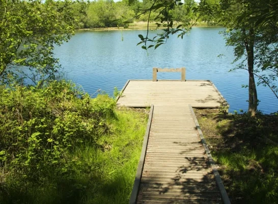 Blaasveldbroek Willebroek