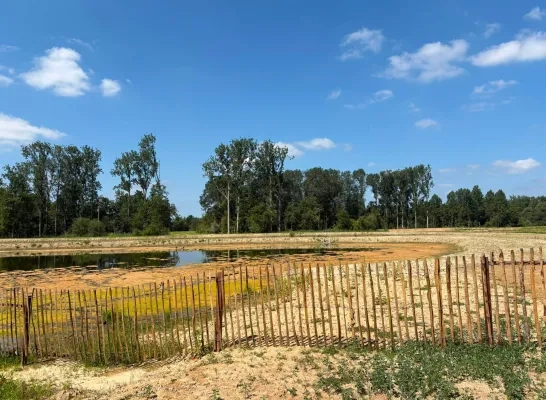 Blaasveldbroek Willebroek