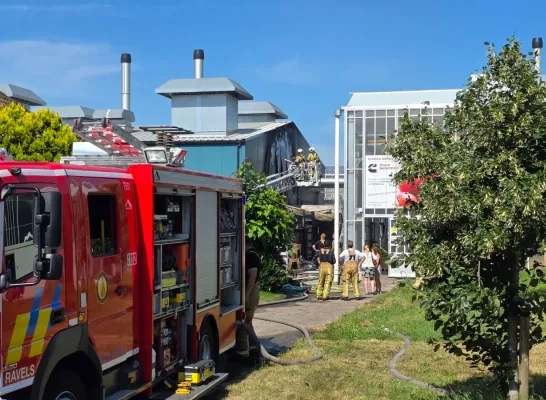 brand tomatenteler Weelde