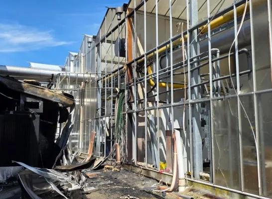 brand tomatenteler Weelde