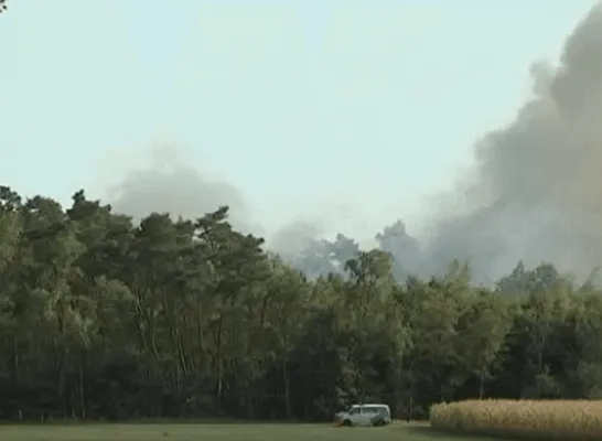 brand de liereman archief