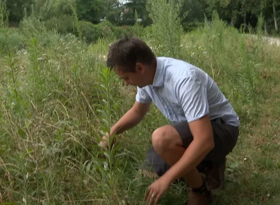 Universitair onderzoek in Mechelen toont aan dat stadstuinen temperatuur omlaag halen