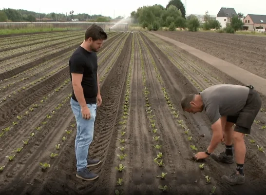 Teler uit Katelijne heeft eigen regenwaterbekken