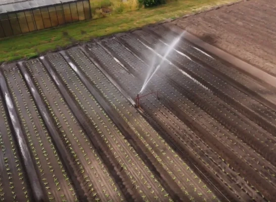 Teler uit Katelijne heeft eigen regenwaterbekken