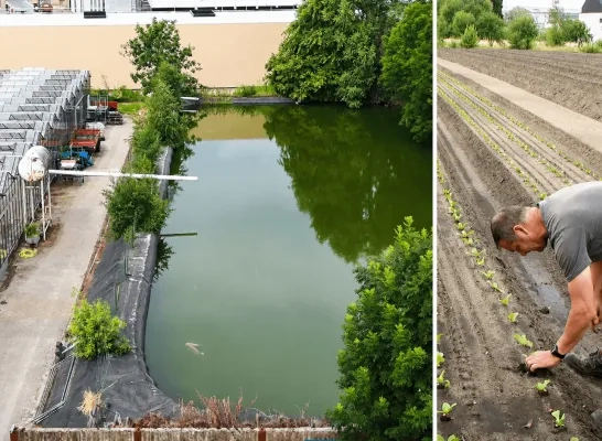 Teler uit Katelijne heeft eigen regenwaterbekken