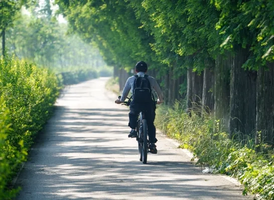 fietser algemeen fiets