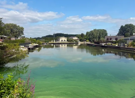 blauwalg visclub Walsingen Liezele Puurs-Sint-Amands
