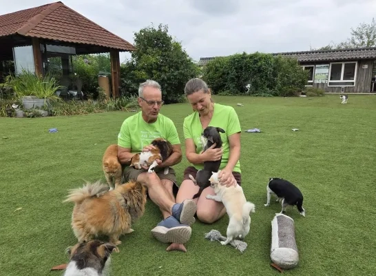 Peter Kloeck en Sonja De Keyser dierenopvang Het Dierenthuisje Geel