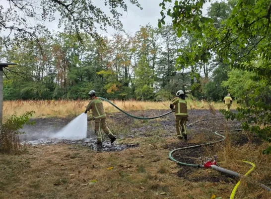 grasbrand droogte Vosselaar