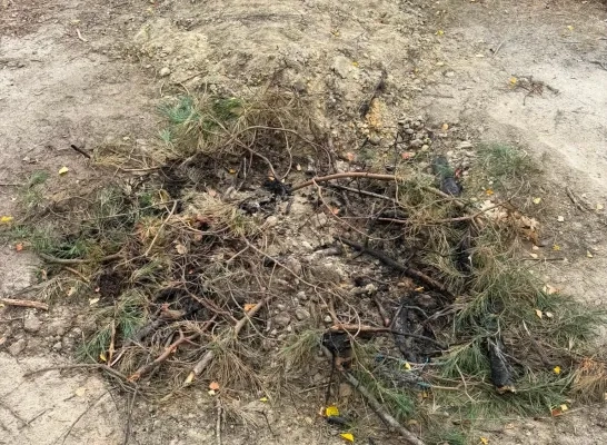 brandgevaar Rijkevorsel