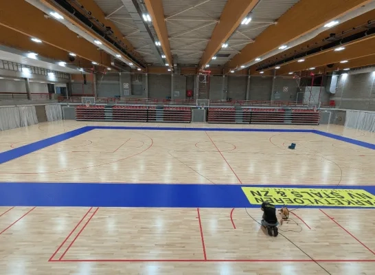basket willebroek.