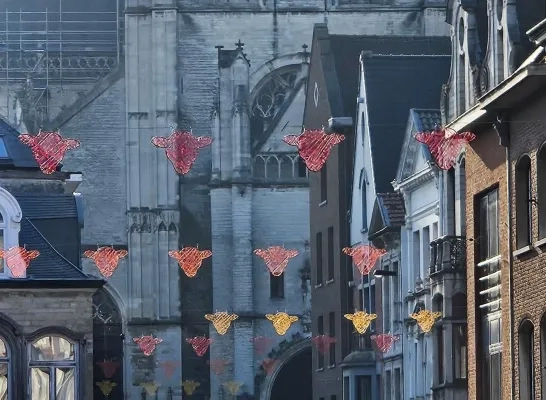 zomerdecoratie - foto stad lier_edited.jpg