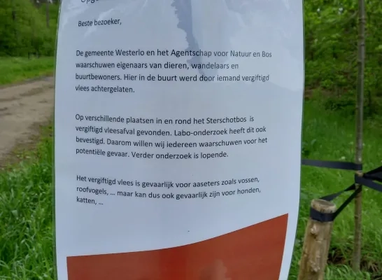 vergiftigd vlees tongerlo vergiftigd vlees tongerlo