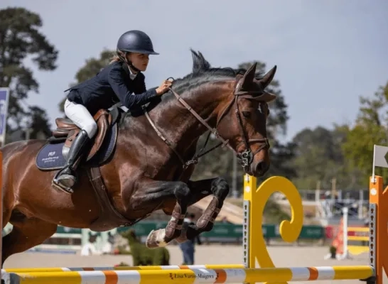 robin vermeir belgisch kampioen pony's 130524 foto wilmvermeir.be.png Robin Vermeir (Meerhout) Belgisch kampioene bij de pony's