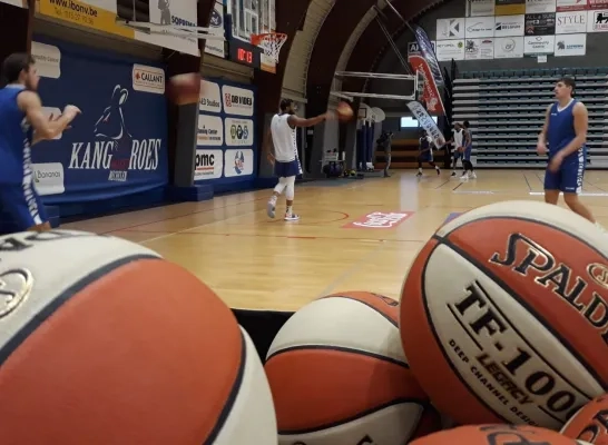 basket kangoeroes Mechelen basket kangoeroes Mechelen