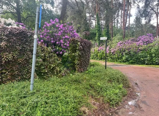 achtervolging heuvelstraat nijlen 160524.jpg