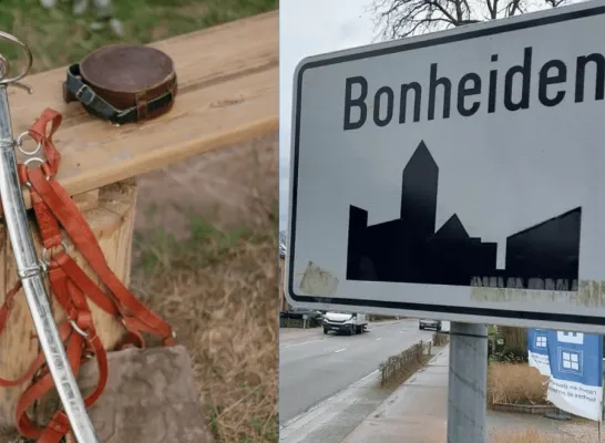 gevecht samoeraizwaarden